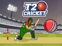 T20 Cricket image