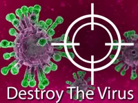 Destroy The Corona Virus image