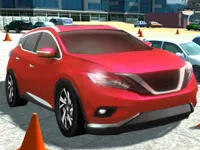 CIty Stunt Driving image